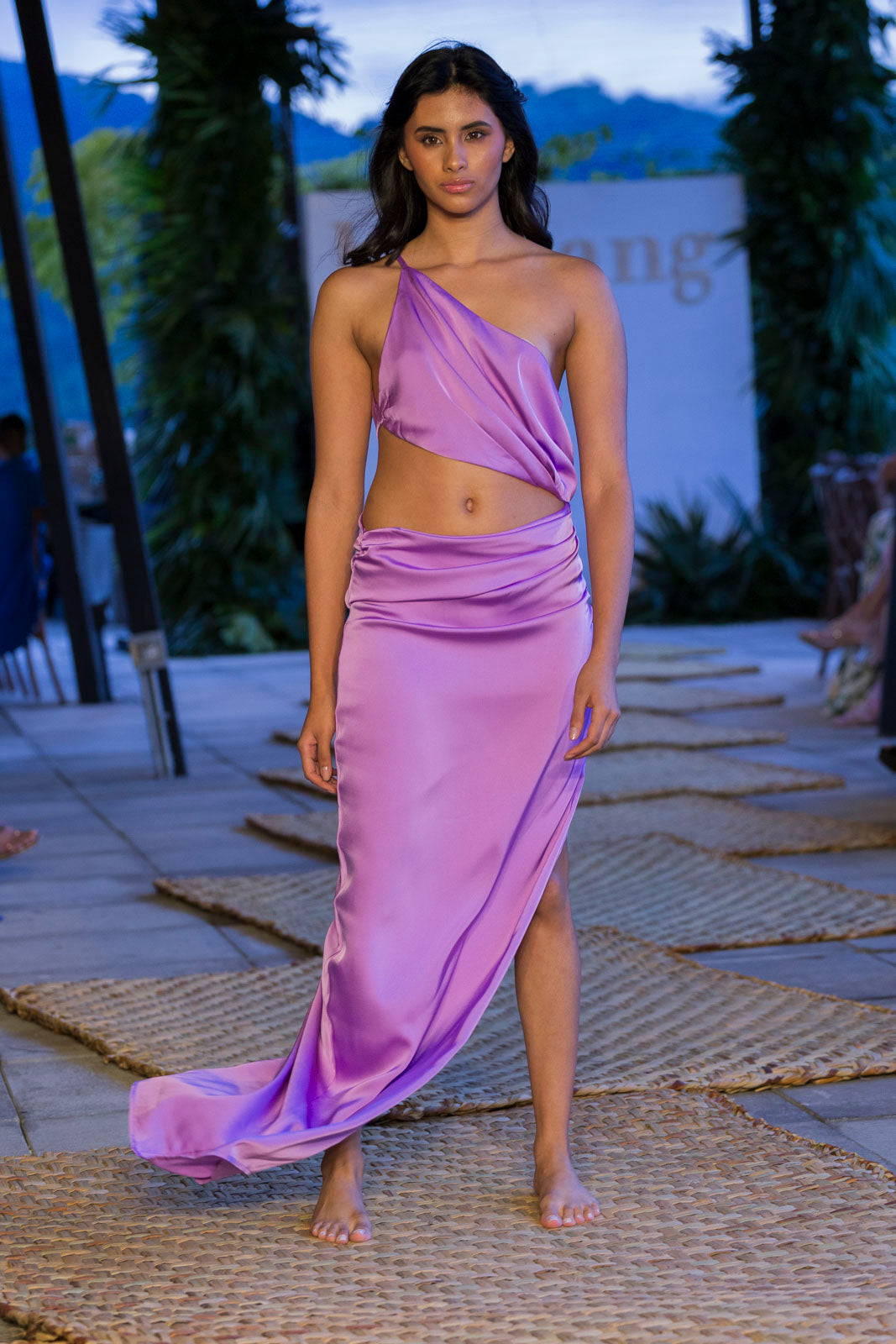 SALVIA DRESS