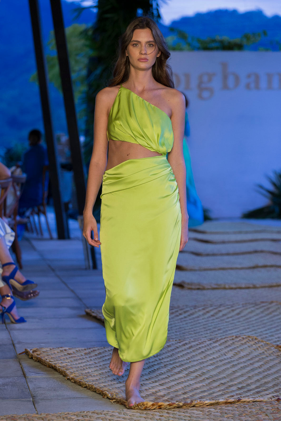 NOGAL DRESS