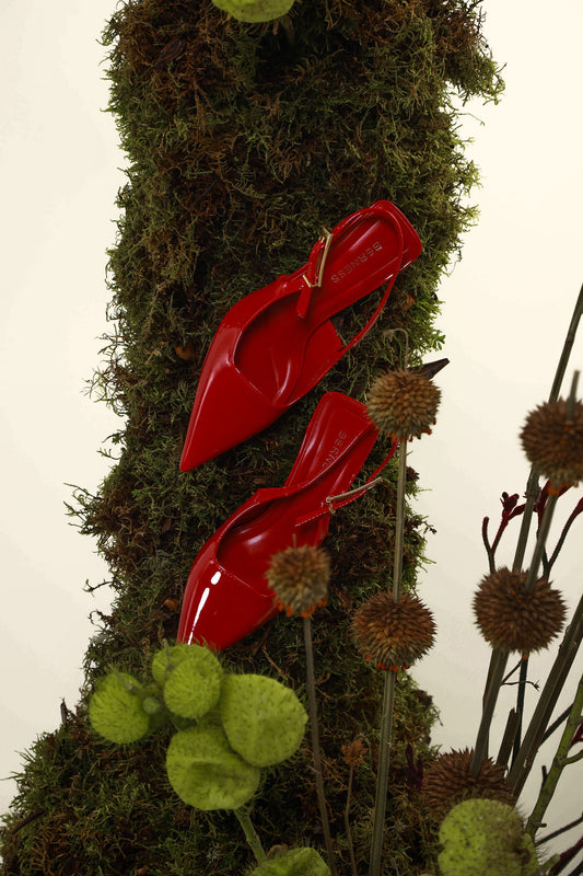 CEBRA SHOES