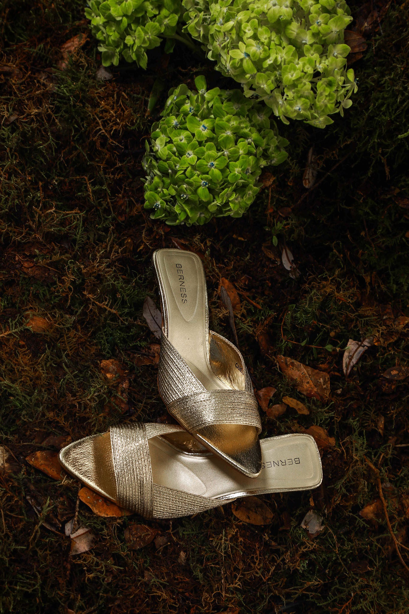 SATURNIA SHOES