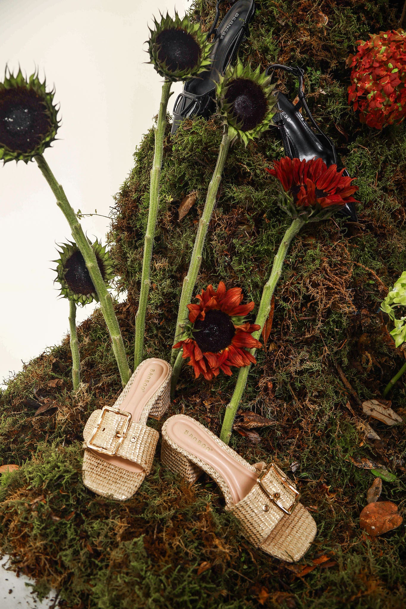 MURSIA SHOE