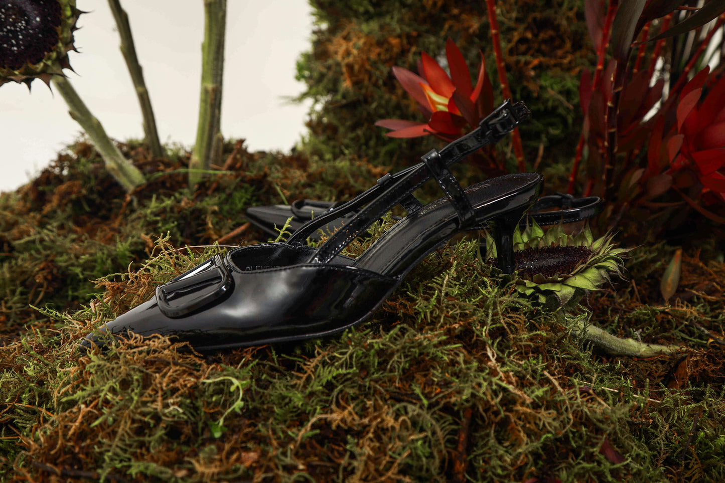 NOES SHOES