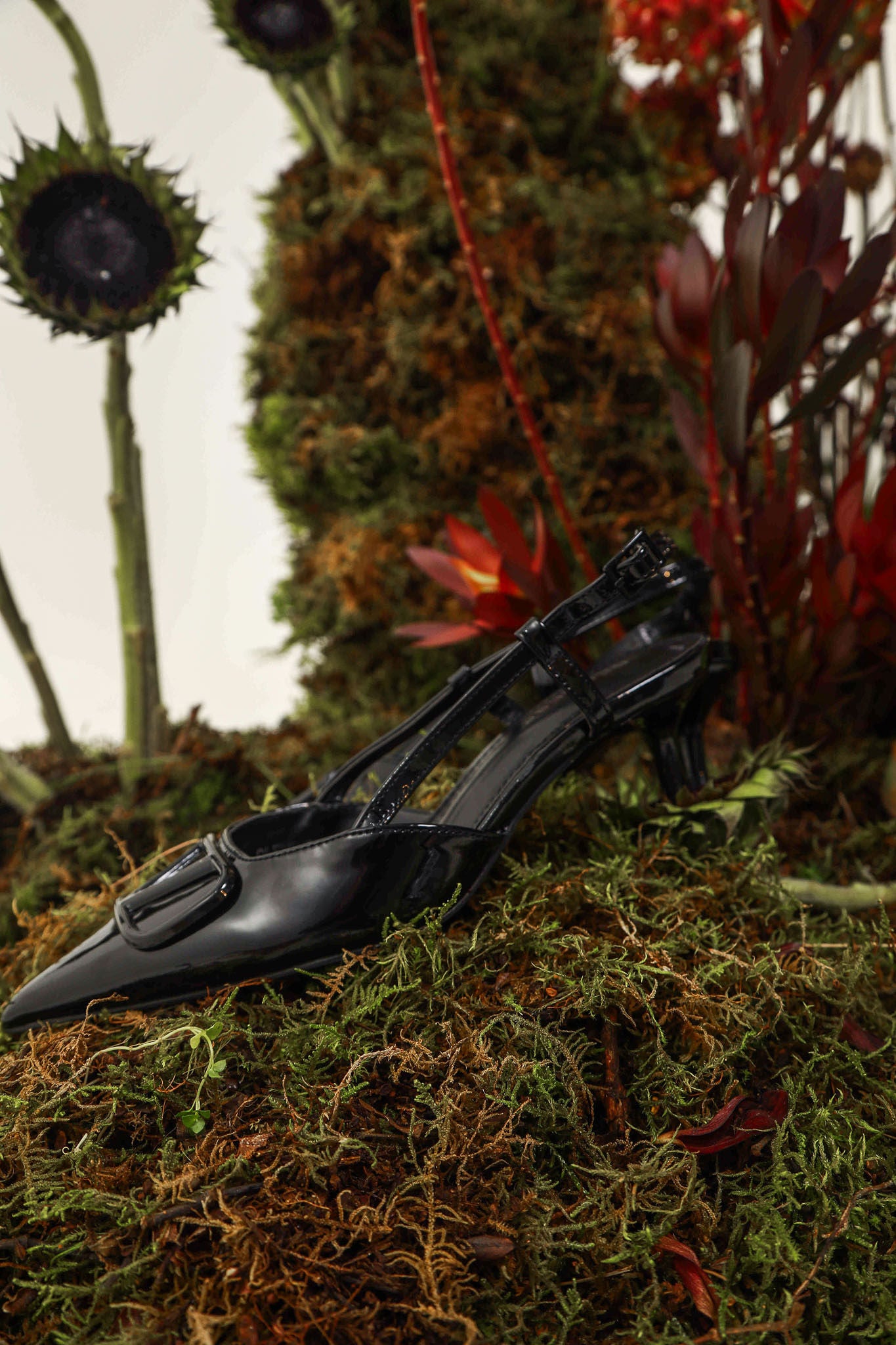 NOES SHOES