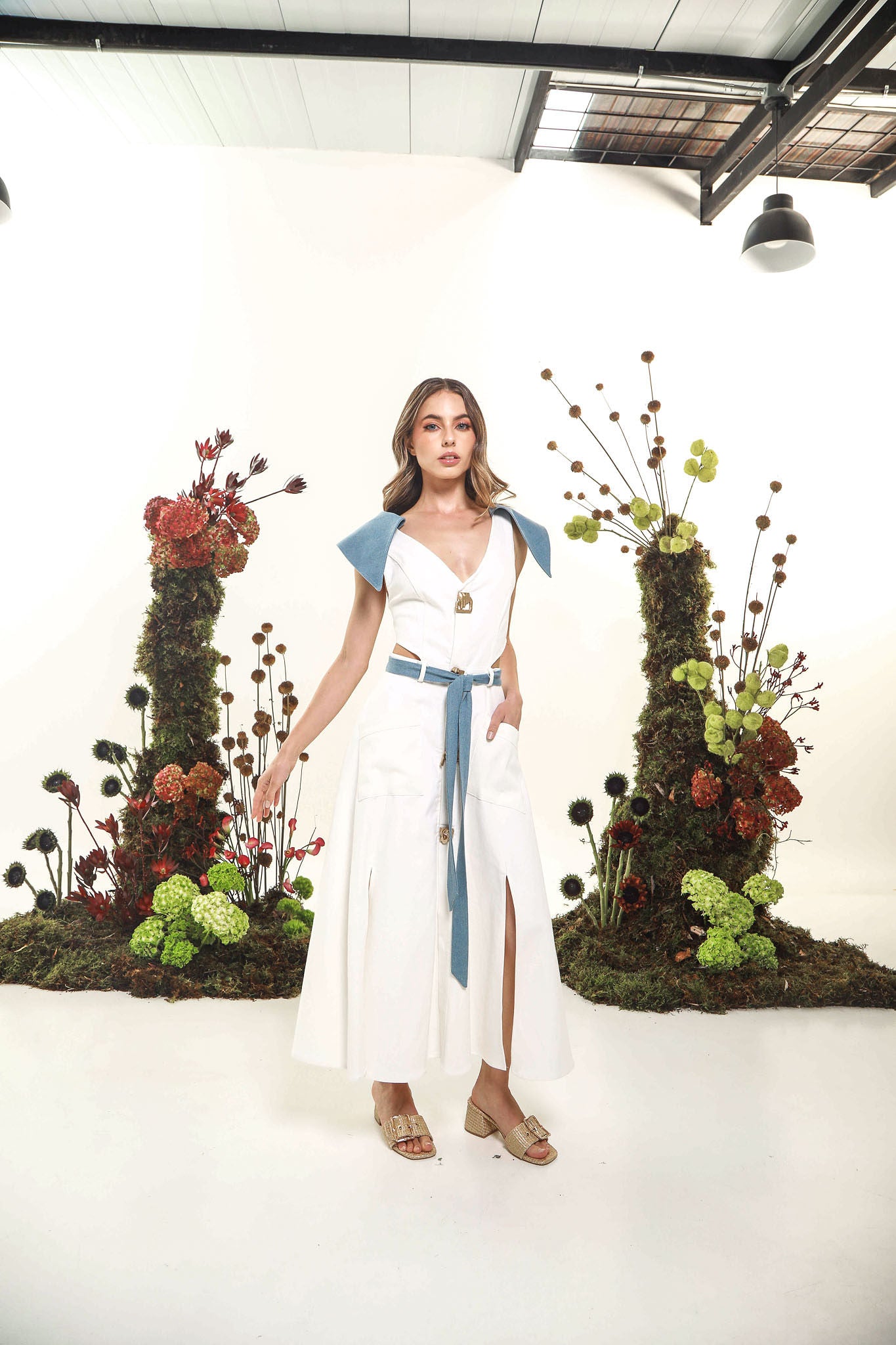 COLIBRI DRESS