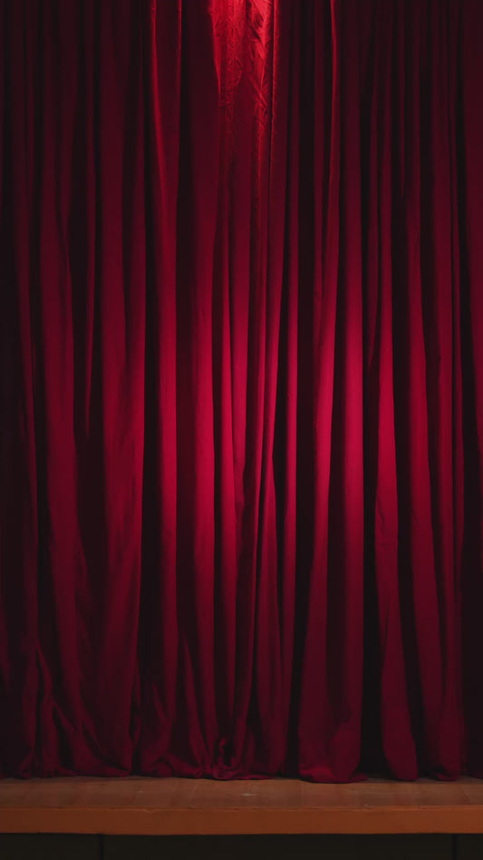 LA CELESTINA