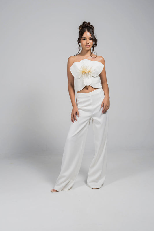 FLUIR SET