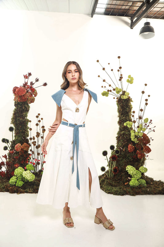 COLIBRI DRESS